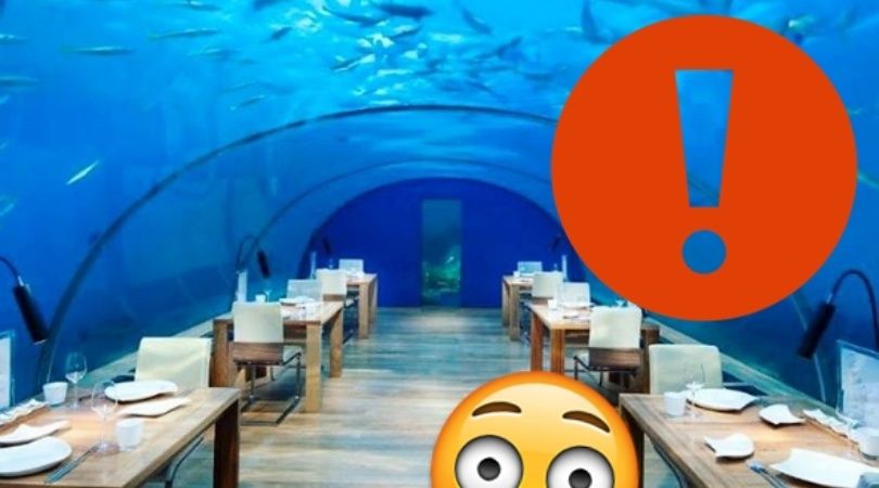 ¡Increíble! 5 restaurantes que no vas a poder creer que existen